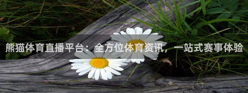 熊猫体育直播平台：全方位体育资讯，一站式赛事体验