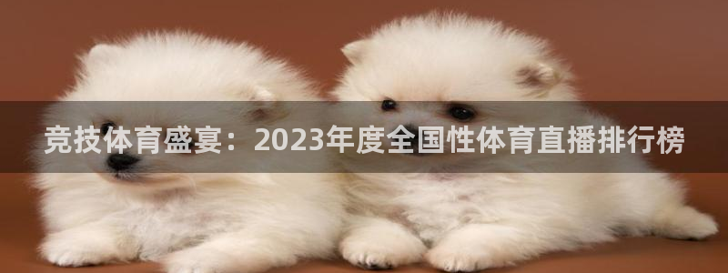 竞技体育盛宴：2023年度全国性体育直播排行榜