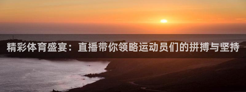 精彩体育盛宴：直播带你领略运动员们的拼搏与坚持