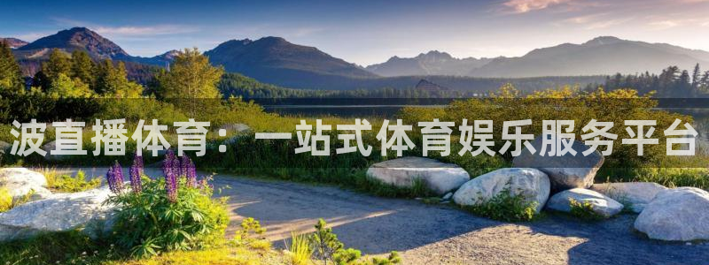 波直播体育：一站式体育娱乐服务平台