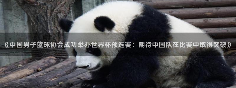 《中国男子篮球协会成功举办世界杯预选赛：期待中国队在比赛中取得突破》